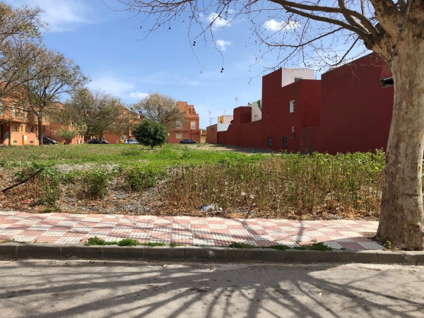 Los vecinos de Las Perenholas muestran al Partido Popular de Los Barrios la falta de limpieza y cuidados en su urbanización