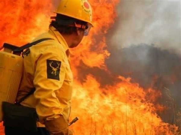 Verdemar E.A. pide incrementar la Educación Ambiental ante los últimos incendios