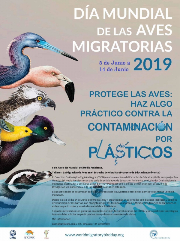 El Colectivo Ornitológico Cigüeña Negra celebrará el Día Mundial del Medio Ambiente con varias actividades en Palmones