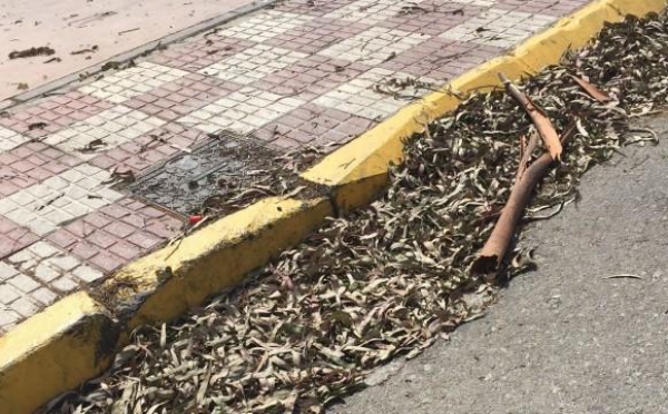 El PSOE insiste en la necesidad de la mejora del servicio municipal de limpieza