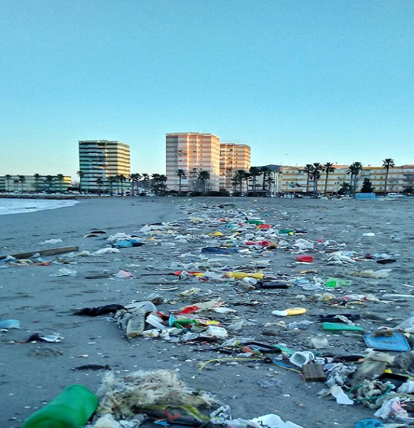 Verdemar Ecologistas en Acción señala algunos de los graves problemas ambientales en la Playa de Poniente de La Línea y Campamento