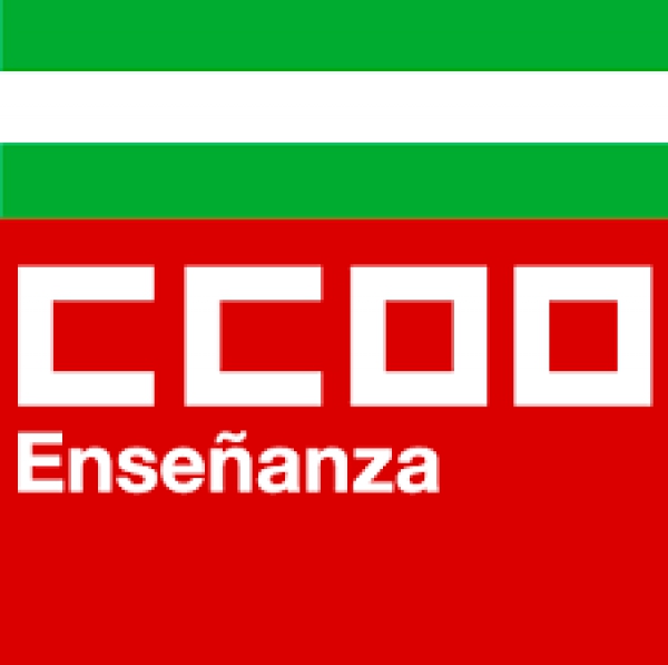El consejo escolar respalda la propuesta de CCOO y se solidariza con el colectivo de las contratas de la Junta
