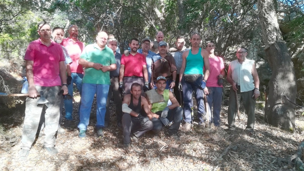 La campaña del corcho en la finca municipal Los Garlitos de Los Barrios genera unos 1.600 quintales castellanos