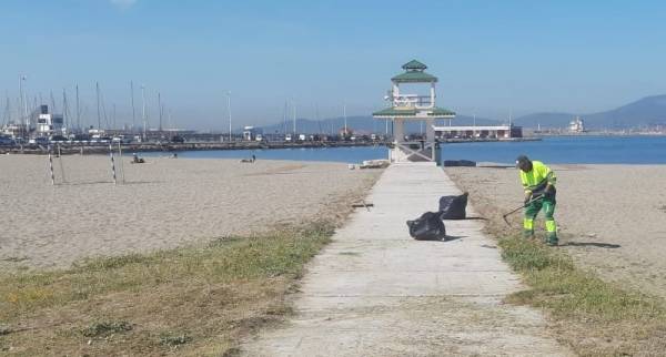 La delegación de Playas de La Línea ha retirado 135.000 kilos de algas de la costa en lo que va de año