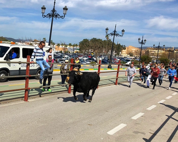 El tercer encierro del Toro Embolao 2018 de Los Barrios vuelve a llenar a rebosar de público la plaza de toros La Montera