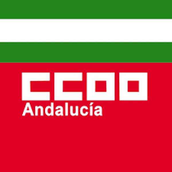 El sector del mar de FSC CCOO en Andalucía renueva su dirección