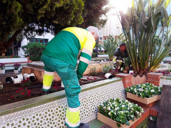 Jardines realiza mejoras en la Plaza Fariñas y las rotondas de La Marina y el Castillo de La Línea con la colocación de nuevas plantas