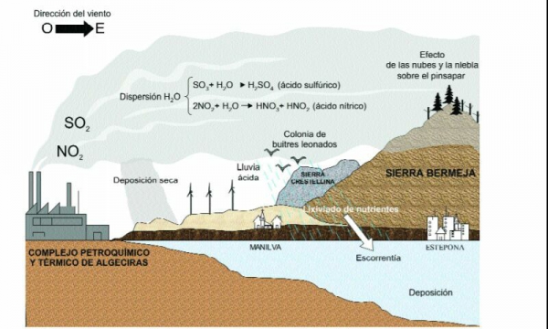 Podemos: La contaminación de la industria petroquímica del Campo de Gibraltar afecta al pinsapar de Sierra Bermeja