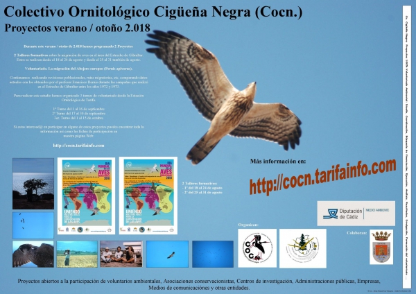 El Colectivo Ornitológico Cigüeña Negra organiza para este verano / otoño de 2018 dos proyectos relacionados con la migración de las aves en el área del estrecho de Gibbraltar.