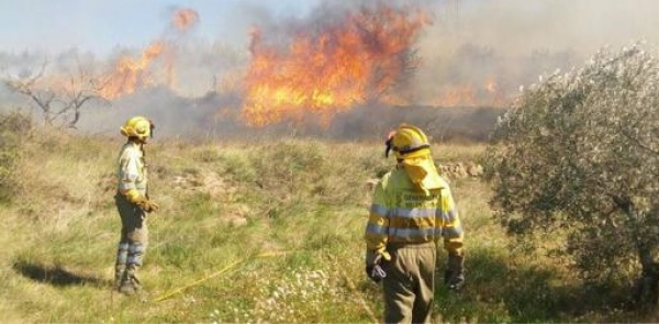 CSIF agradece el reconocimiento del Ayuntamiento de Algeciras a los bomberos forestales