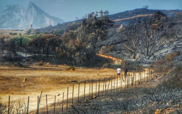 Verdemar Ecologistas en Acción denuncia al Ayuntamiento de La Línea por pretender recalificar una parte importante del área incendiada en 2017 entre Santa Margarita y La Alcaidesa