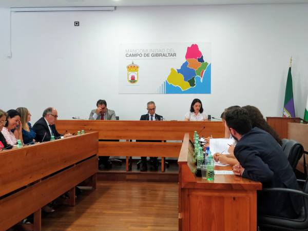 El pleno de la Junta de Comarca respalda los acuerdos del Ayuntamiento linense para la segregación y declaración de Zonas de Difícil Cobertura Sanitaria