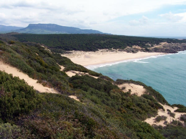 COCN: El Plan de desarrollo sostenible del Parque Natural del Estrecho un ejemplo de mala administración y/o despropósito político?