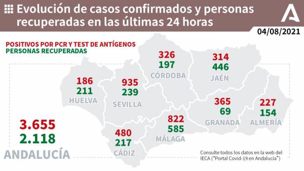 Coronavirus Andalucía : 1.336 pacientes confirmados con COVID-19 permanecen ingresados en los hospitales andaluces, de los que 238 se encuentran en UCI