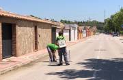El Ayuntamiento de Los Barrios y Arcgisa reanudan las tareas de desinsectación periódica de los alcantarillados en el municipio