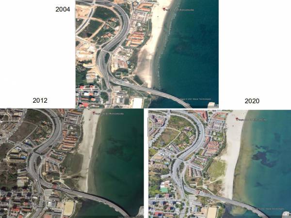 Verdes de Europa Tarifa señala como culpable de la destrucción sistemática de la Bahía de Algeciras a la “Autoridad Portuaria de Algeciras”