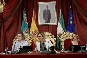 La Diputación aprueba en Pleno inversiones de más 2,5 millones de euros para municipios y colectivos de la provincia de Cádiz